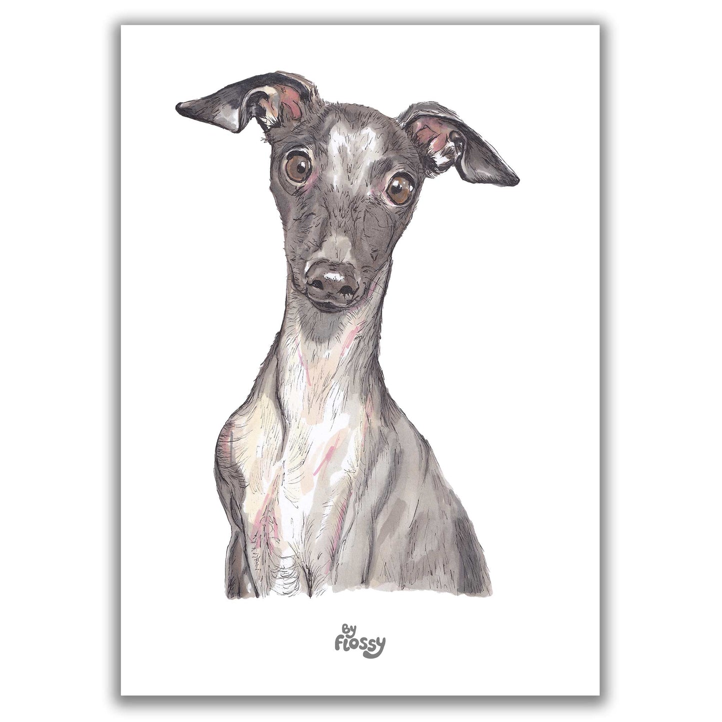Italian Greyhound Dog Pet Print