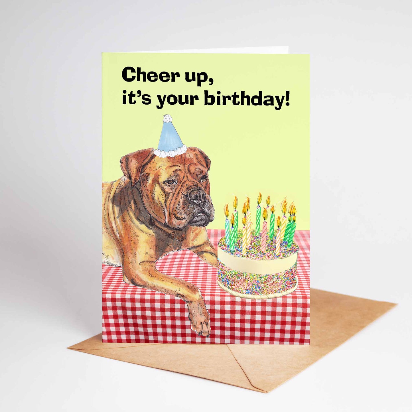 Boxer Dog Funny Birthday Card