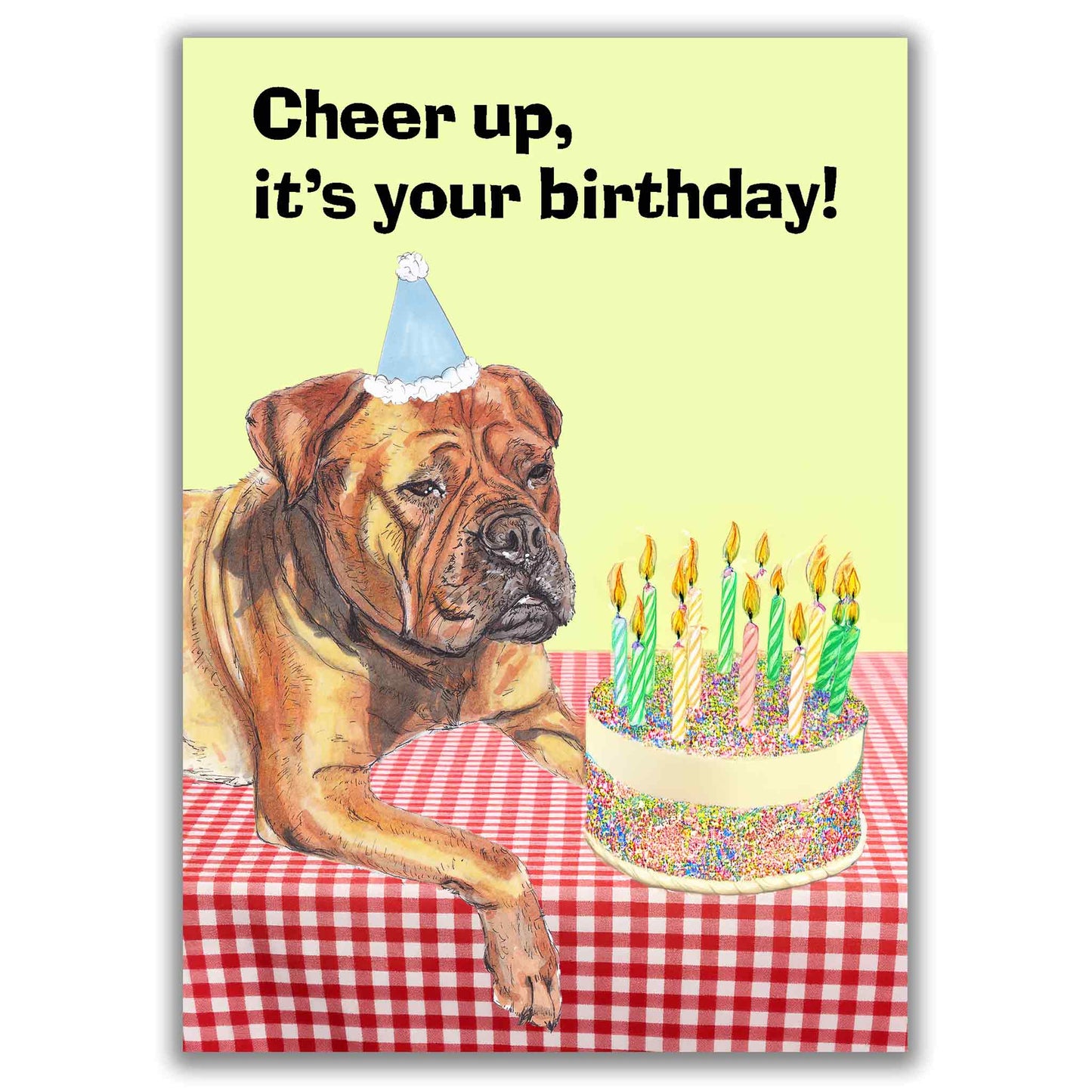 Boxer Dog Funny Birthday Card