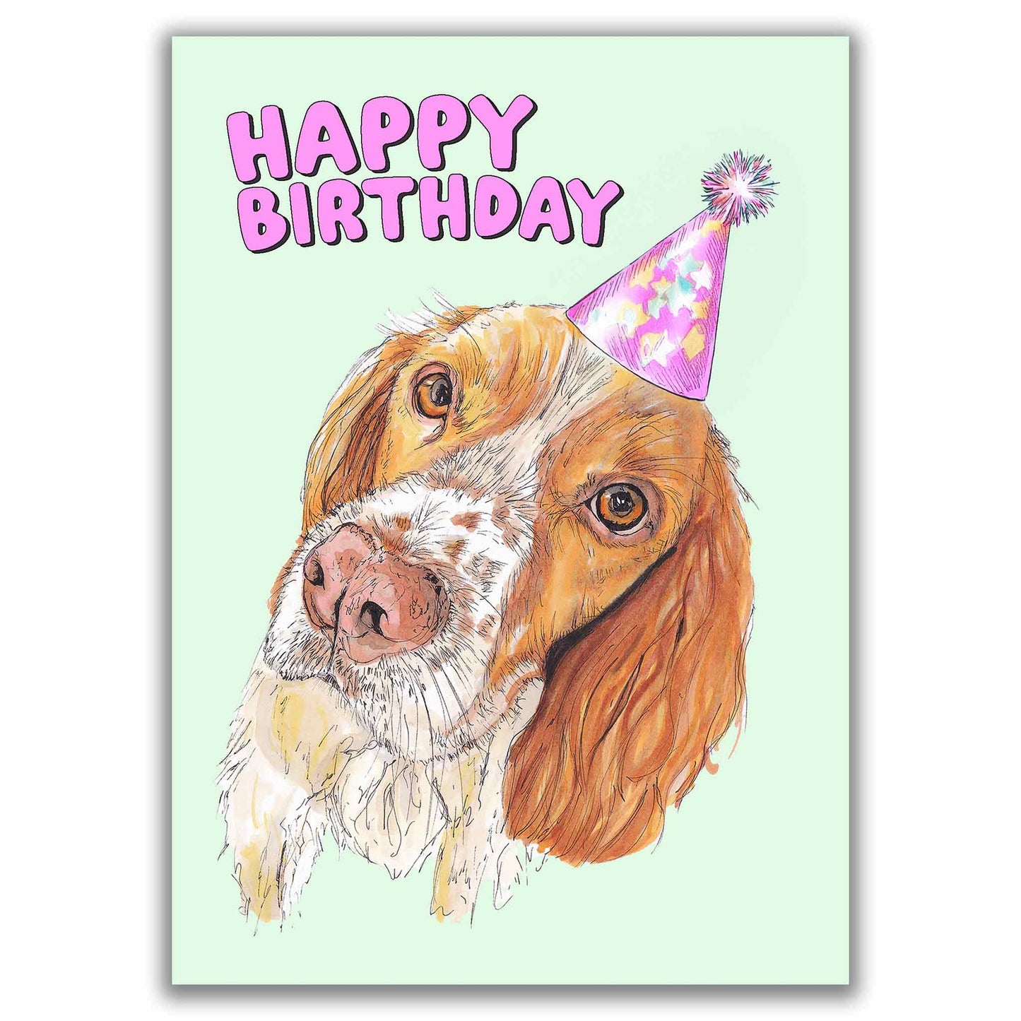 Springer Spaniel Happy Birthday Card