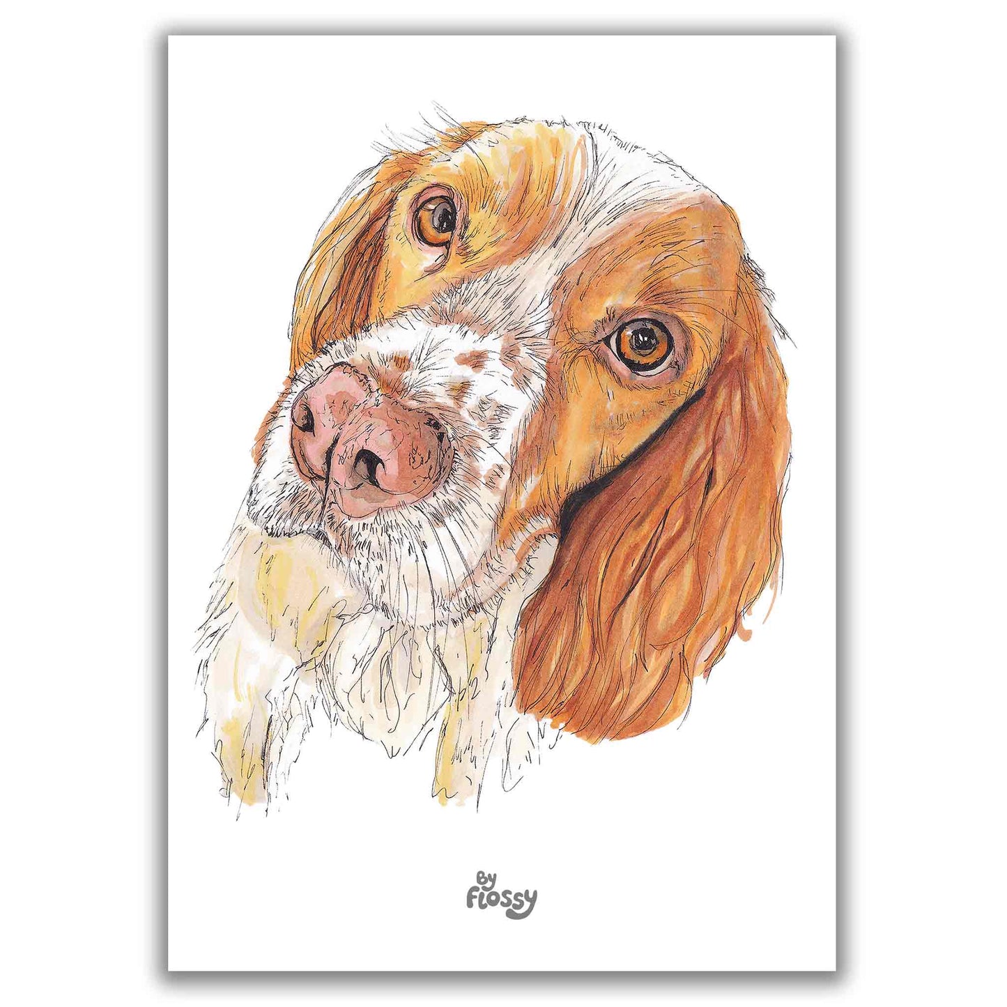 Springer Spaniel Dog Pet Print