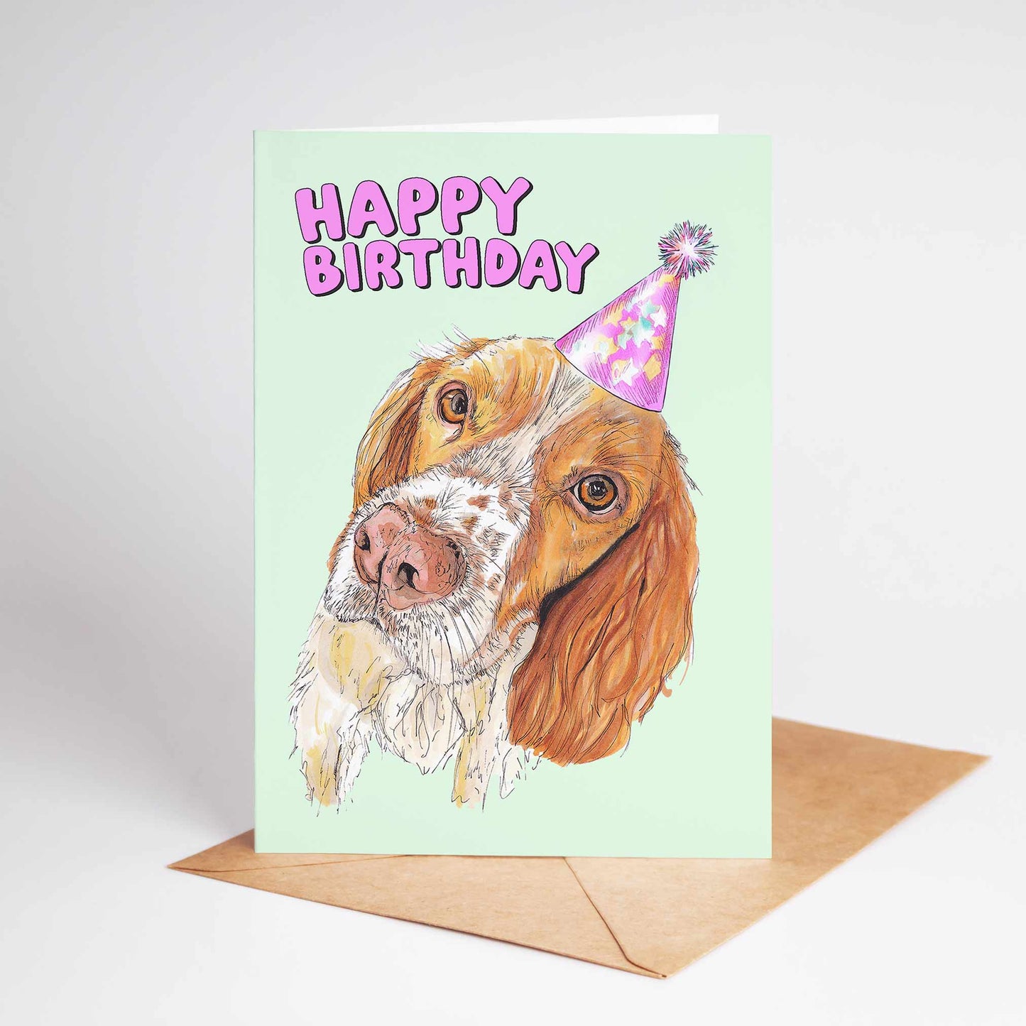 Springer Spaniel Happy Birthday Card