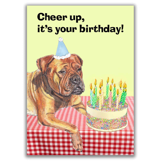 Boxer Dog Funny Birthday Card