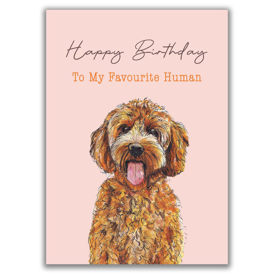 Labradoodle Favourite Human Happy Birthday Card