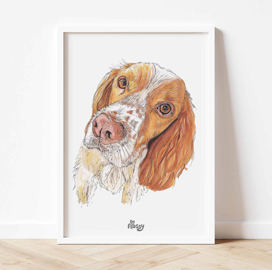 Springer Spaniel Dog Pet Print